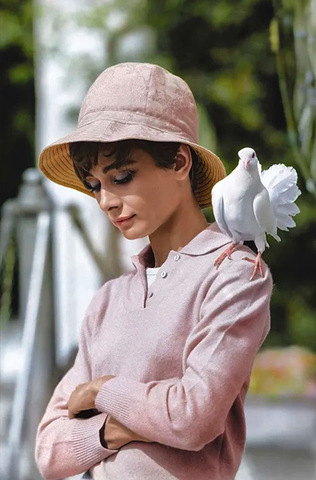 Terry O'Neill, Audrey Hepburn with Dove, colourised edition (POSTHUMOUS) , 1966