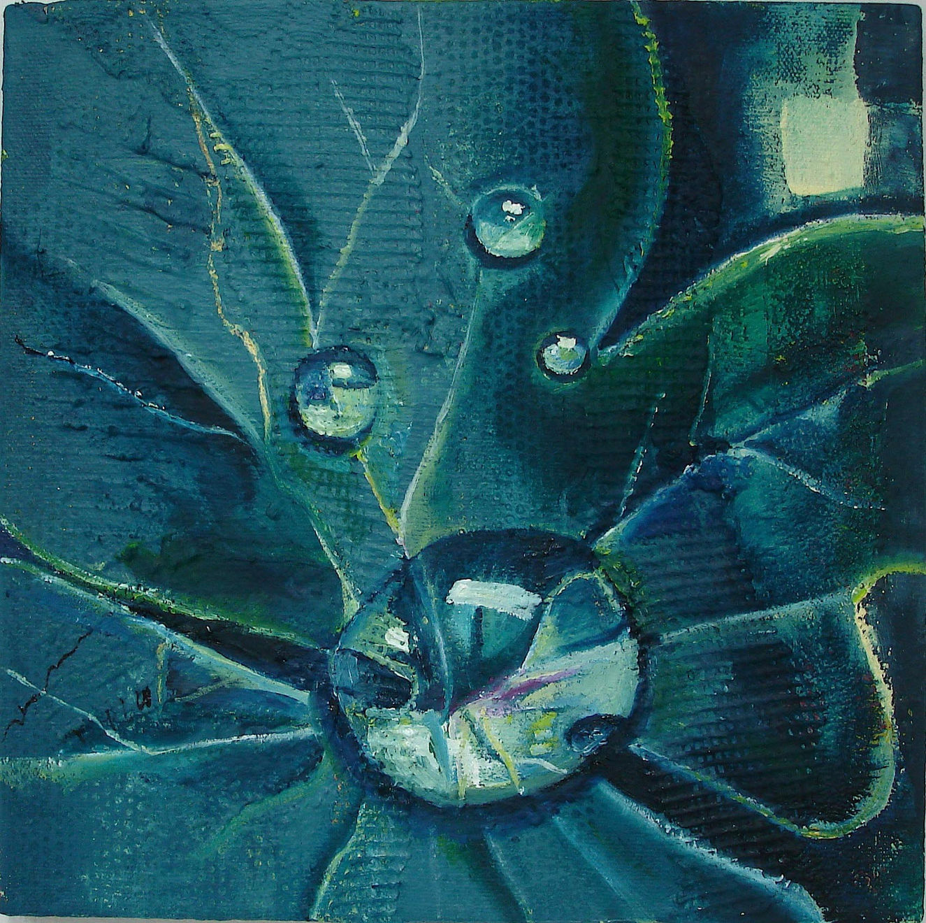 beatriXbraun, Nachtregentropfen, 2006