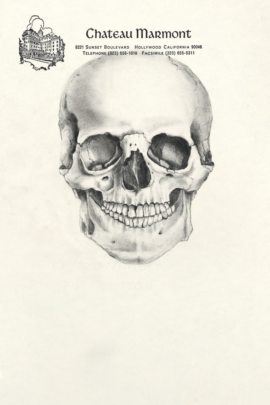 Dana Louise Kirkpatrick, Skull Study, 2022