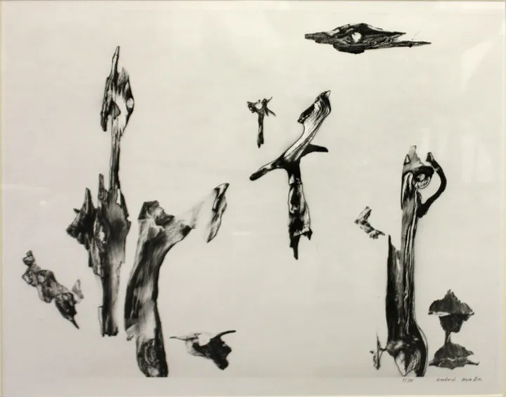 Herbert Matter, Driftwood (solarized), 1940