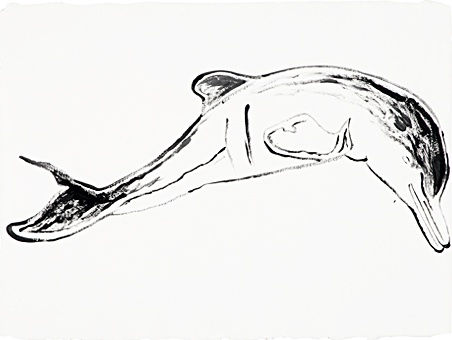 Andy Warhol, Plata River Dolphin, from Vanishing Animals, 1986