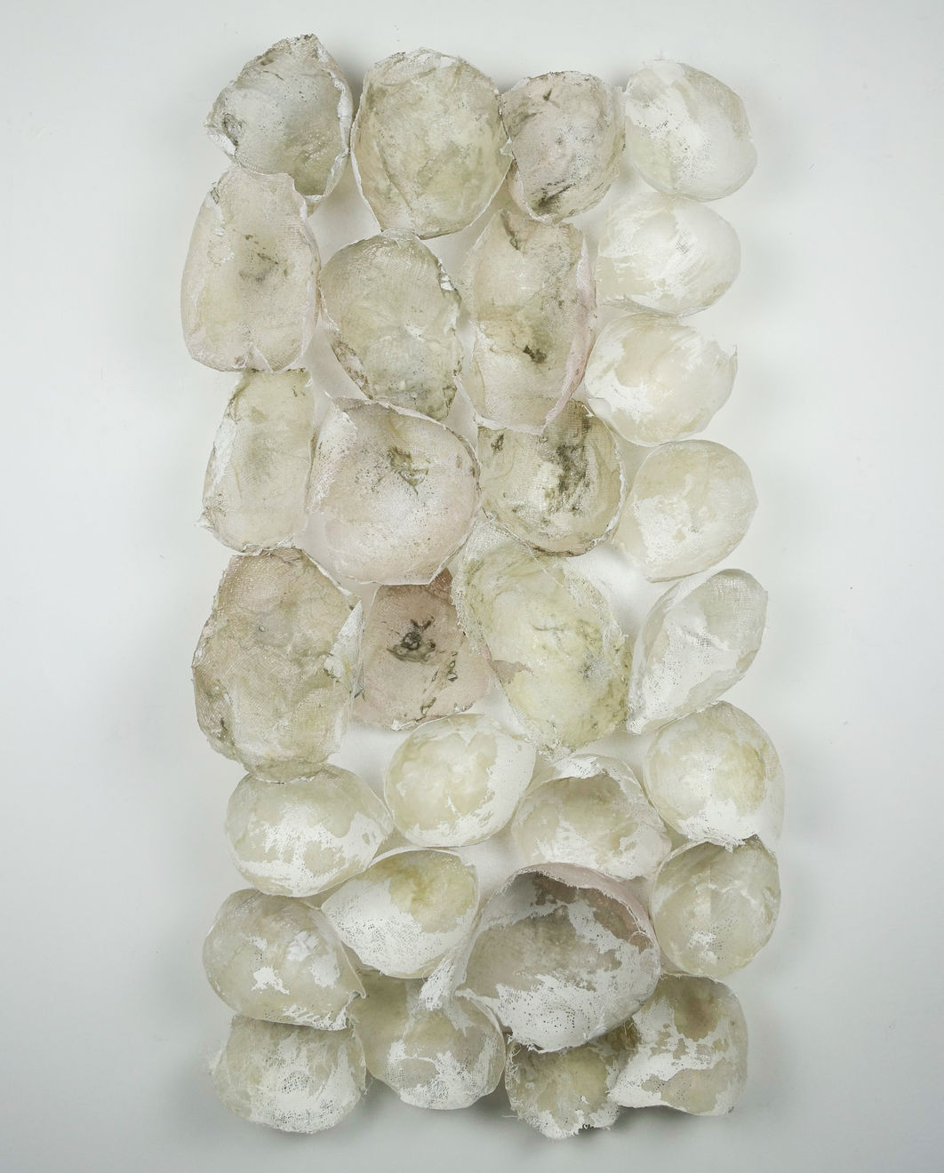 Allison Hudson, Plenty