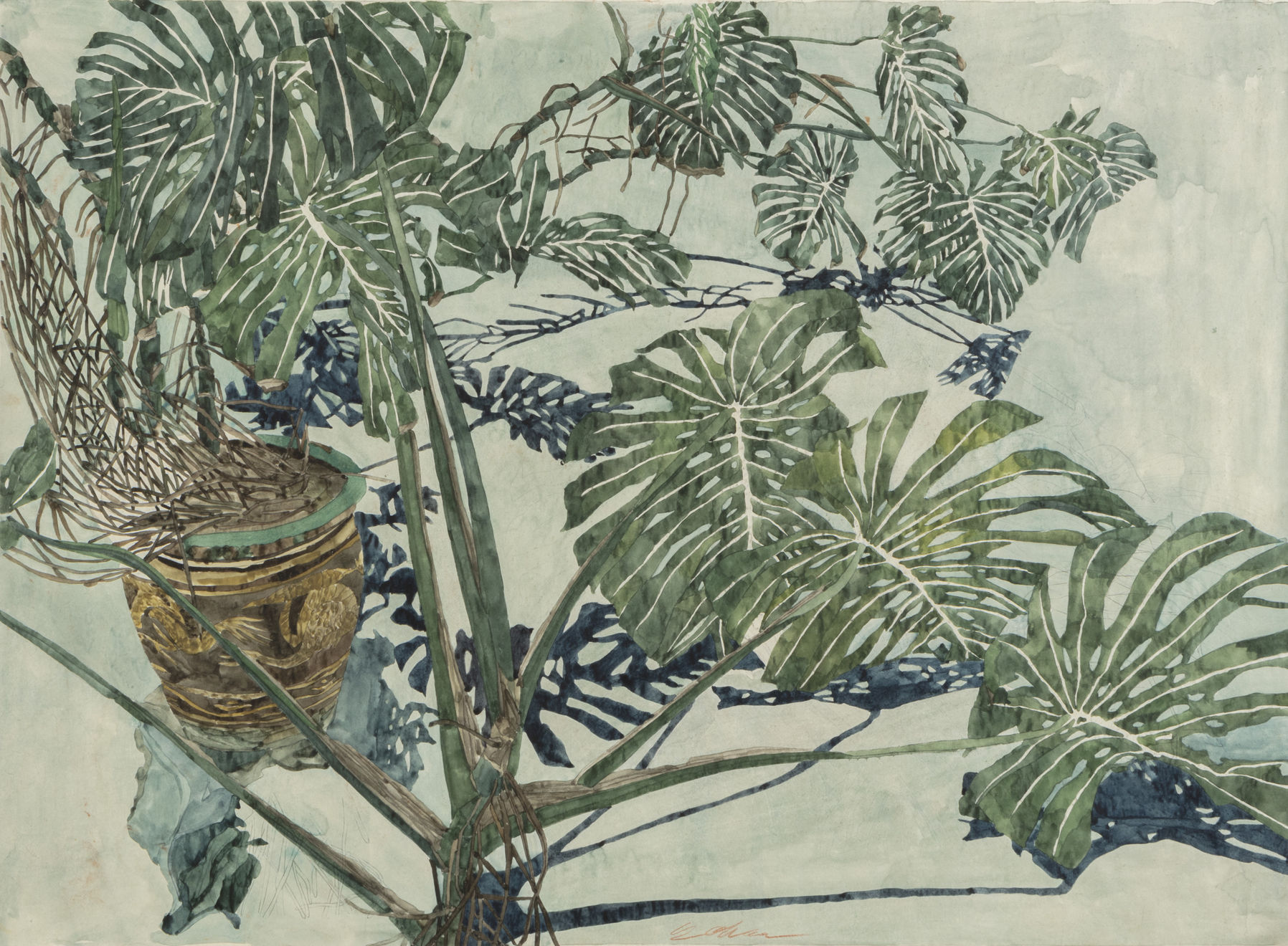 Sam Szafran, Monstera Deliciosa, Vers 1986 - 1987