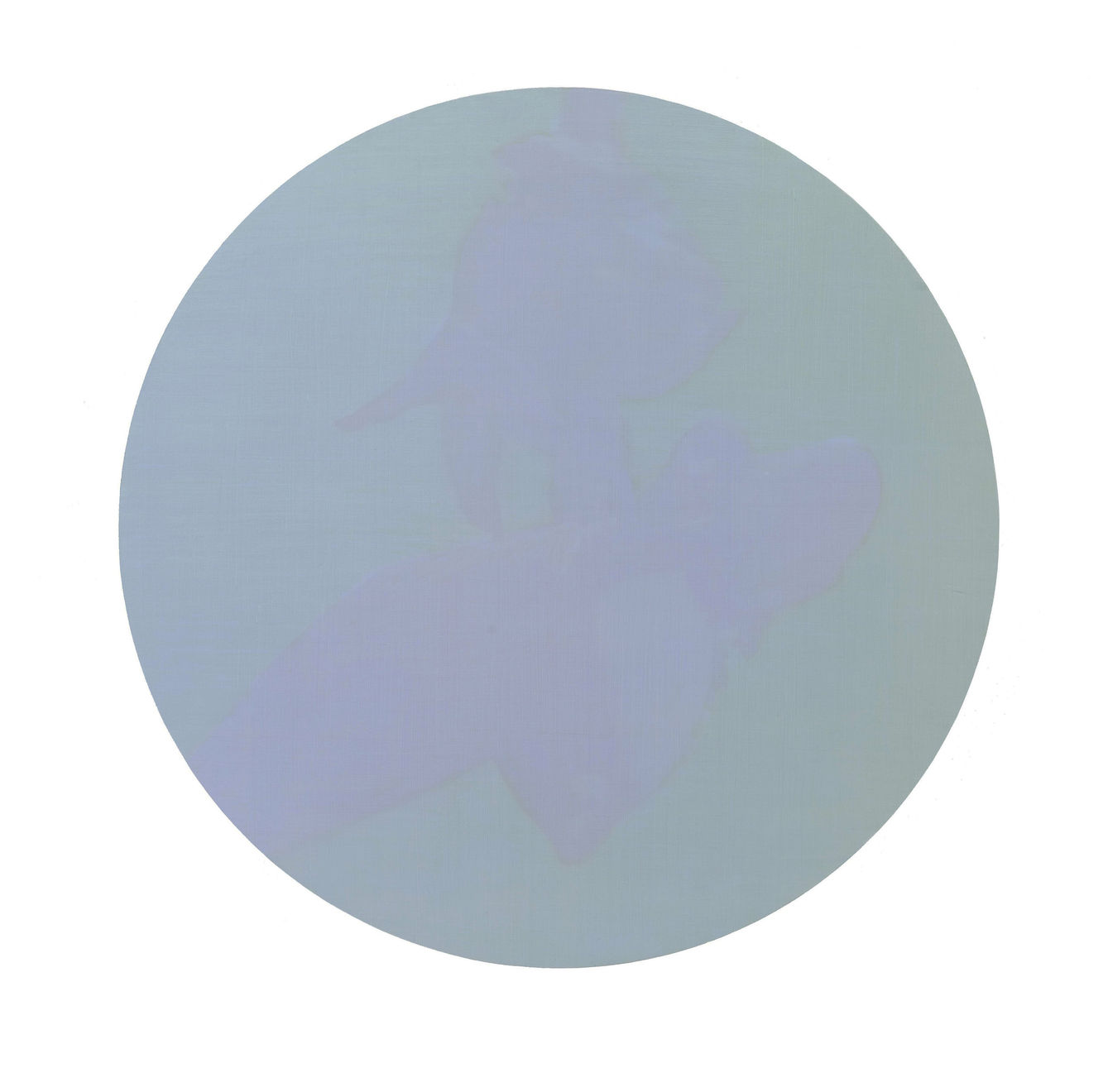 Brooke Fitzsimons , EVANESCENCE, 2009