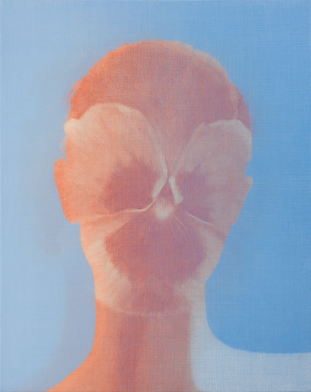 Brooke Fitzsimons, FACE (pansy), 2023