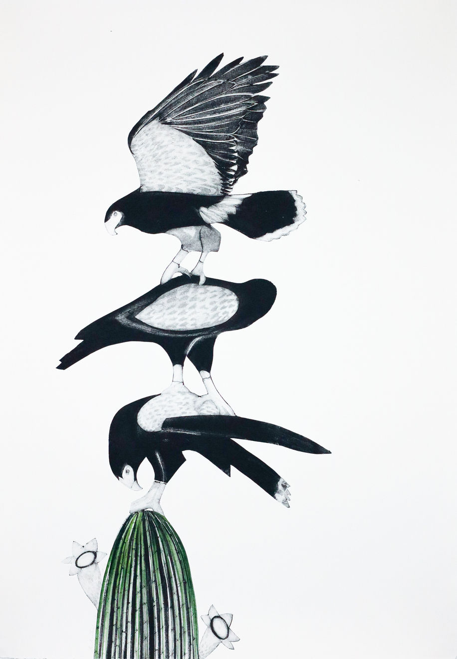 Beatrice Forshall, Harris Hawks and Saguaro