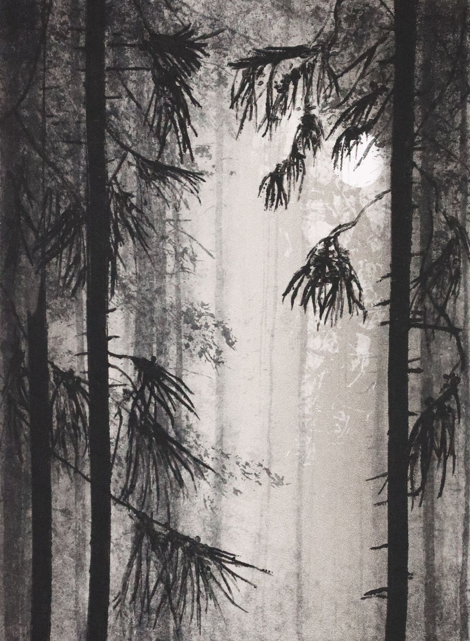 Fiona Fouhy, Presence, 2024