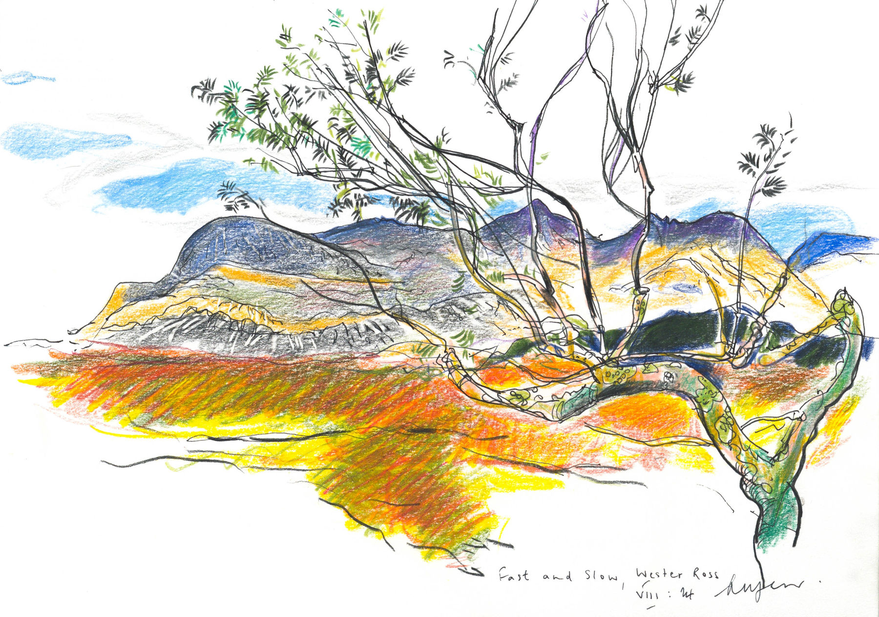 Andrew Marr, Fast and Slow, Wester Ross, VIII:24 , 2024