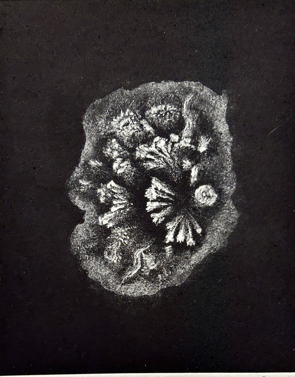 Fiona Fouhy, Midnight Zone II, 2024