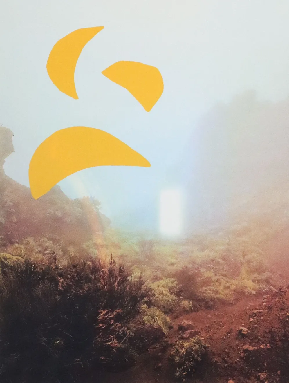 Rebecca Holmes, Apertura Caeli, 2025