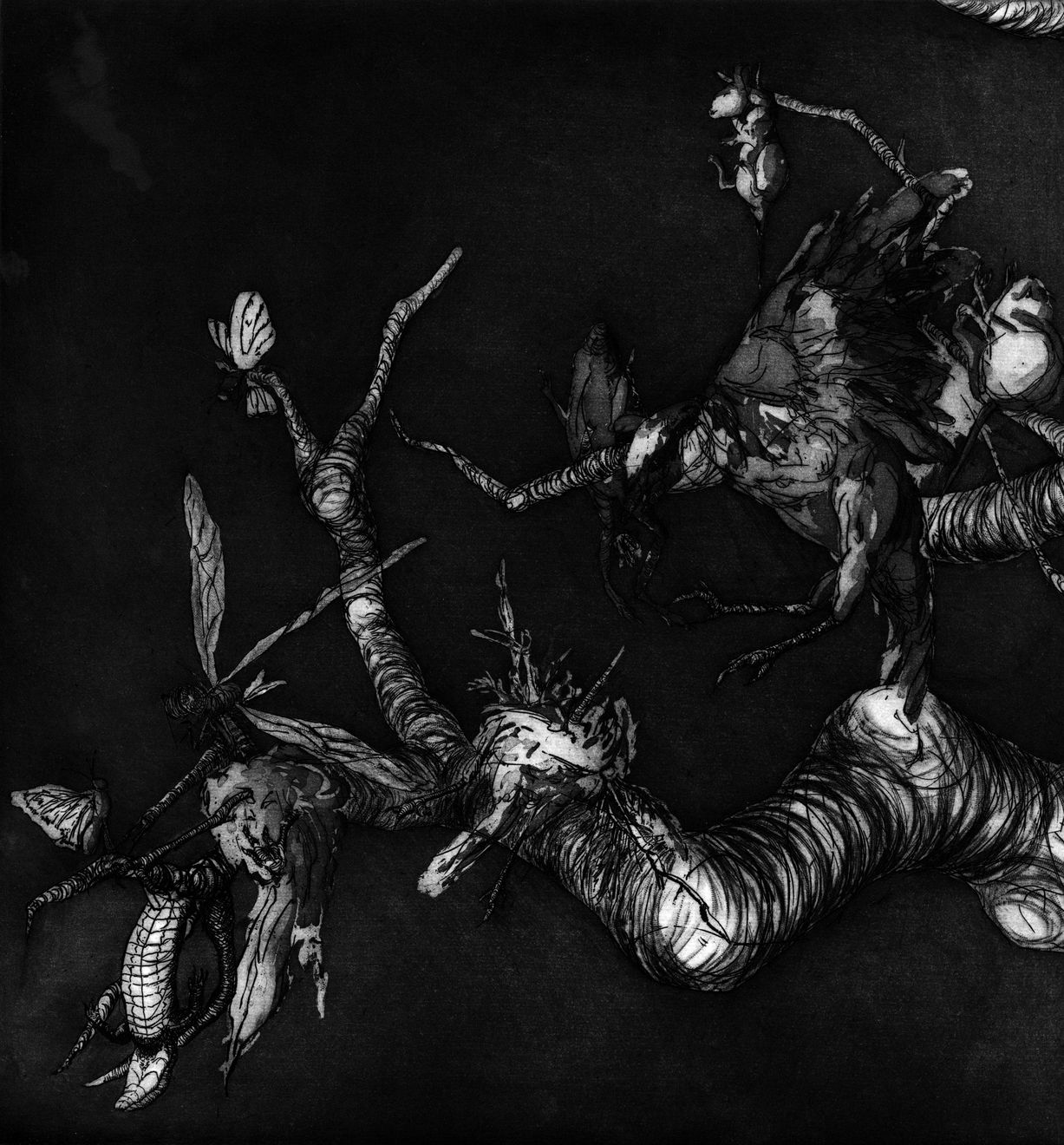 Maite Cascón, The Shadow Tree VI, 2017