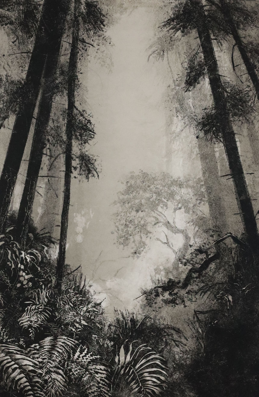 Fiona Fouhy, Embedded, 2024