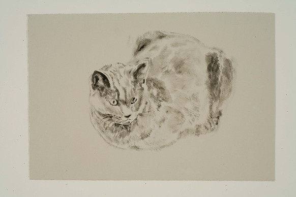 Christmas Auction 2021, LOT 89: Ardyn Halter - Nunni, 2007