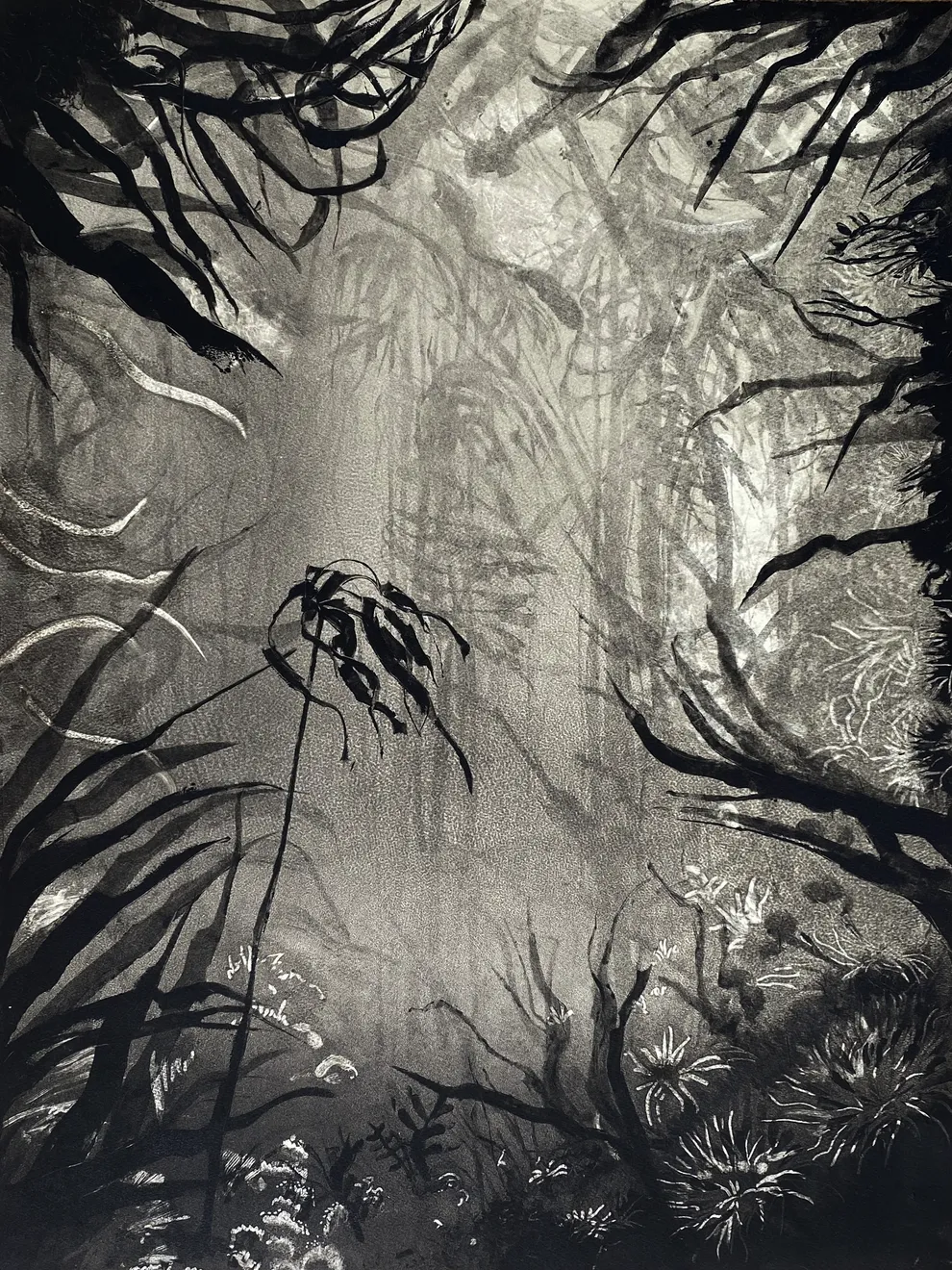 Fiona Fouhy, Hiding Place, 2024