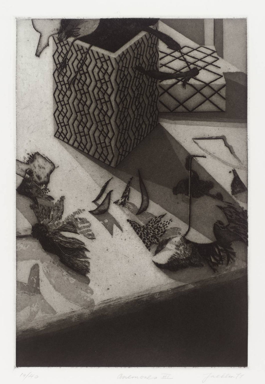 Bill Jacklin, Anemones Plate III, 1977