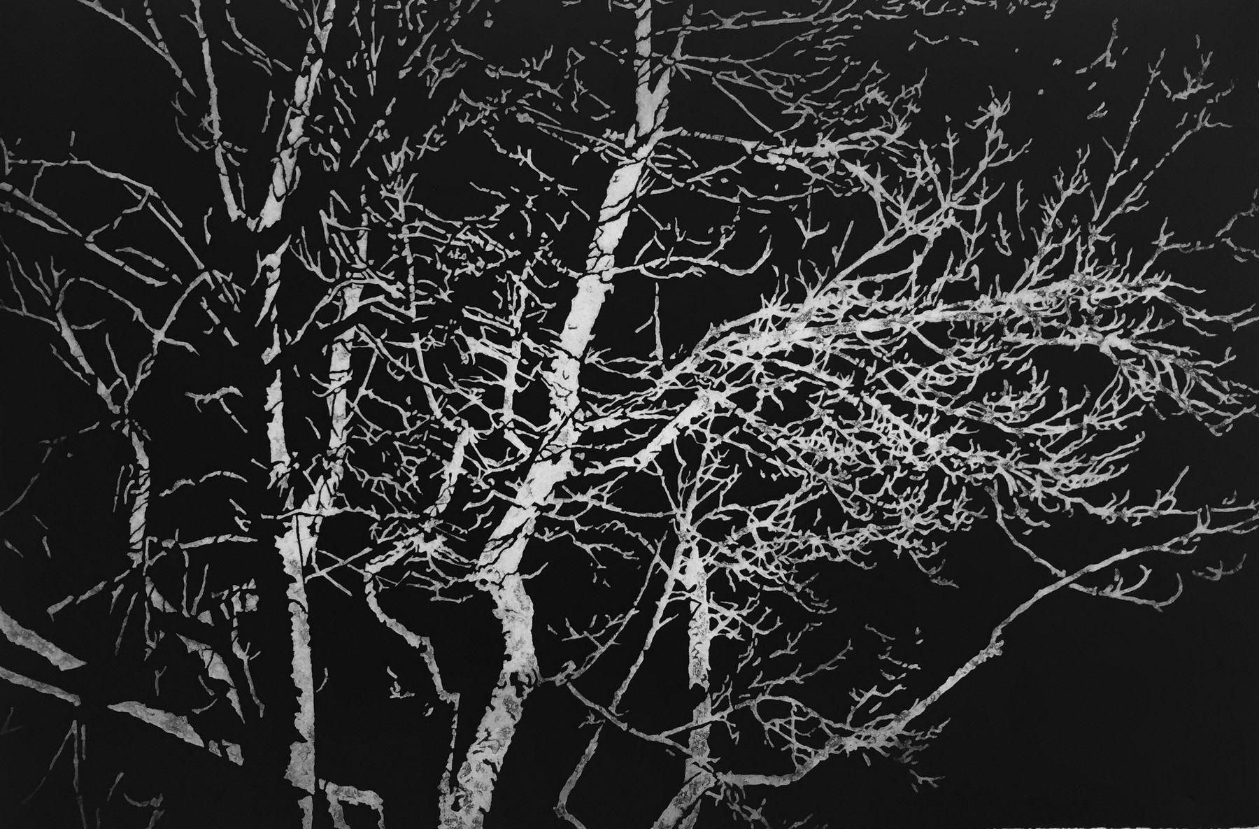 Christmas Secret Bid Auction 2024, LOT 51: Blaze Cyan - Nocturne II, 2019