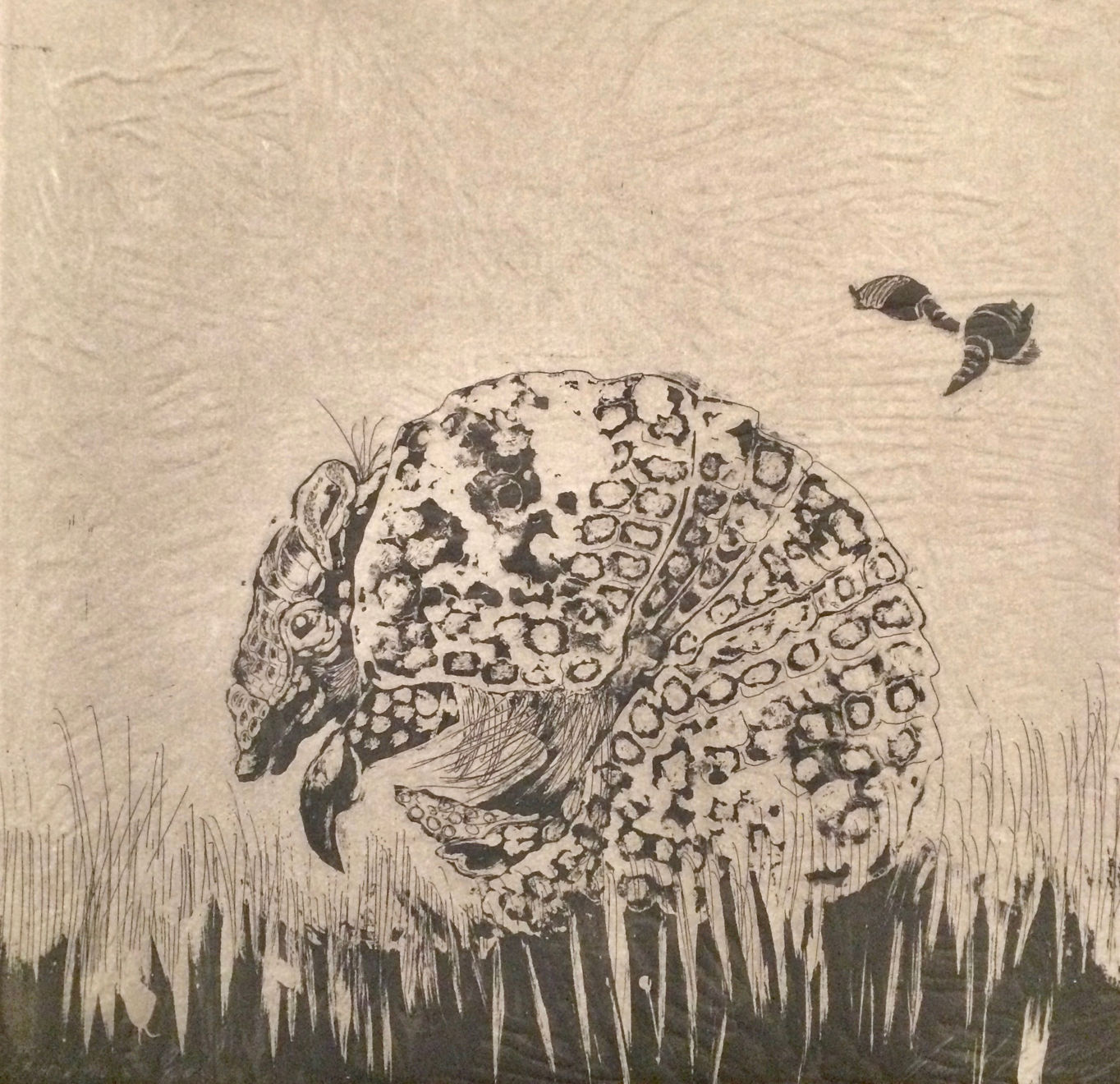 Niamh Clancy, Unfolded, 2017