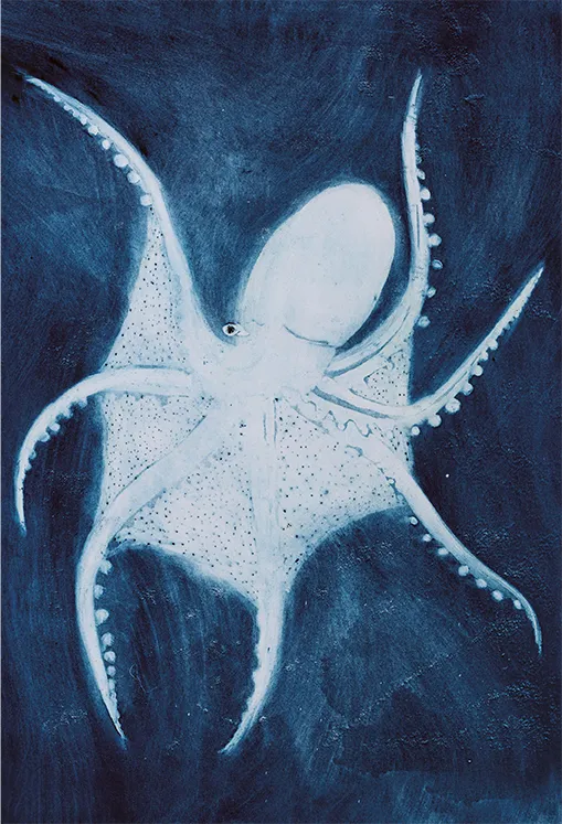 Beatrice Forshall, Glass Octopus