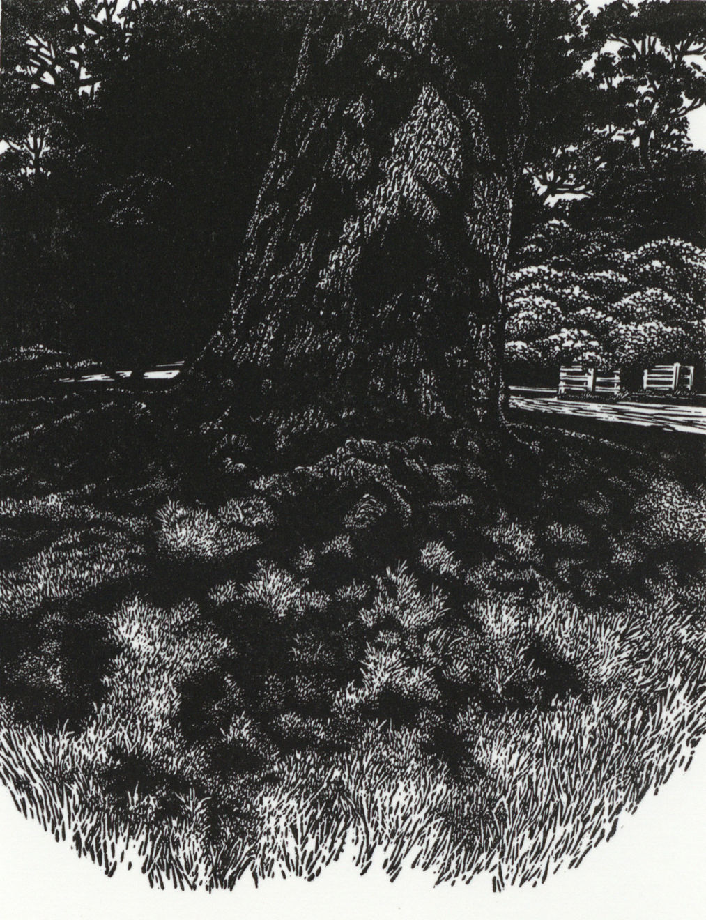 Blaze Cyan, The Dappled Oak at Petworth, 2023