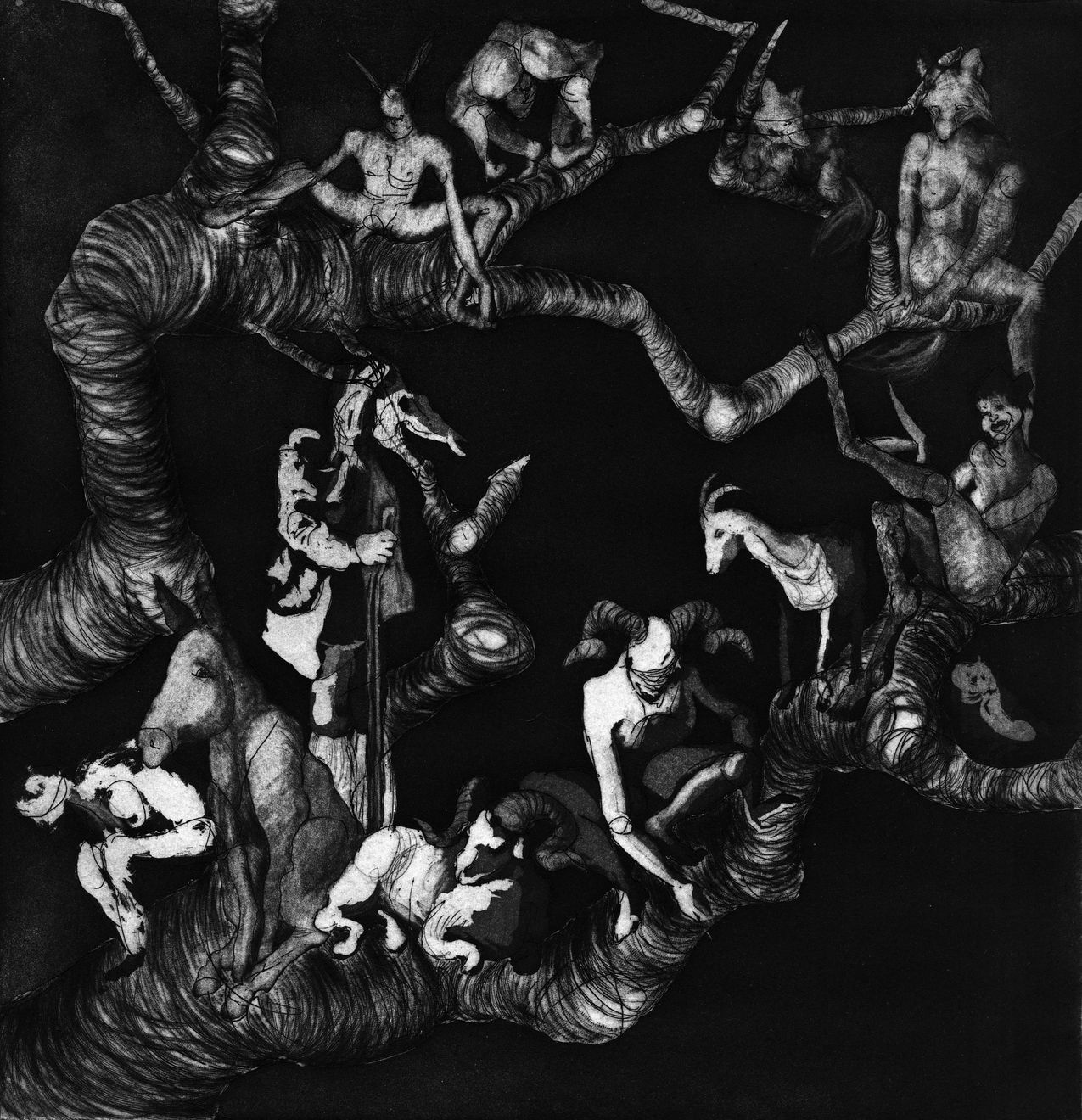 Maite Cascón, The Shadow Tree IX, 2017