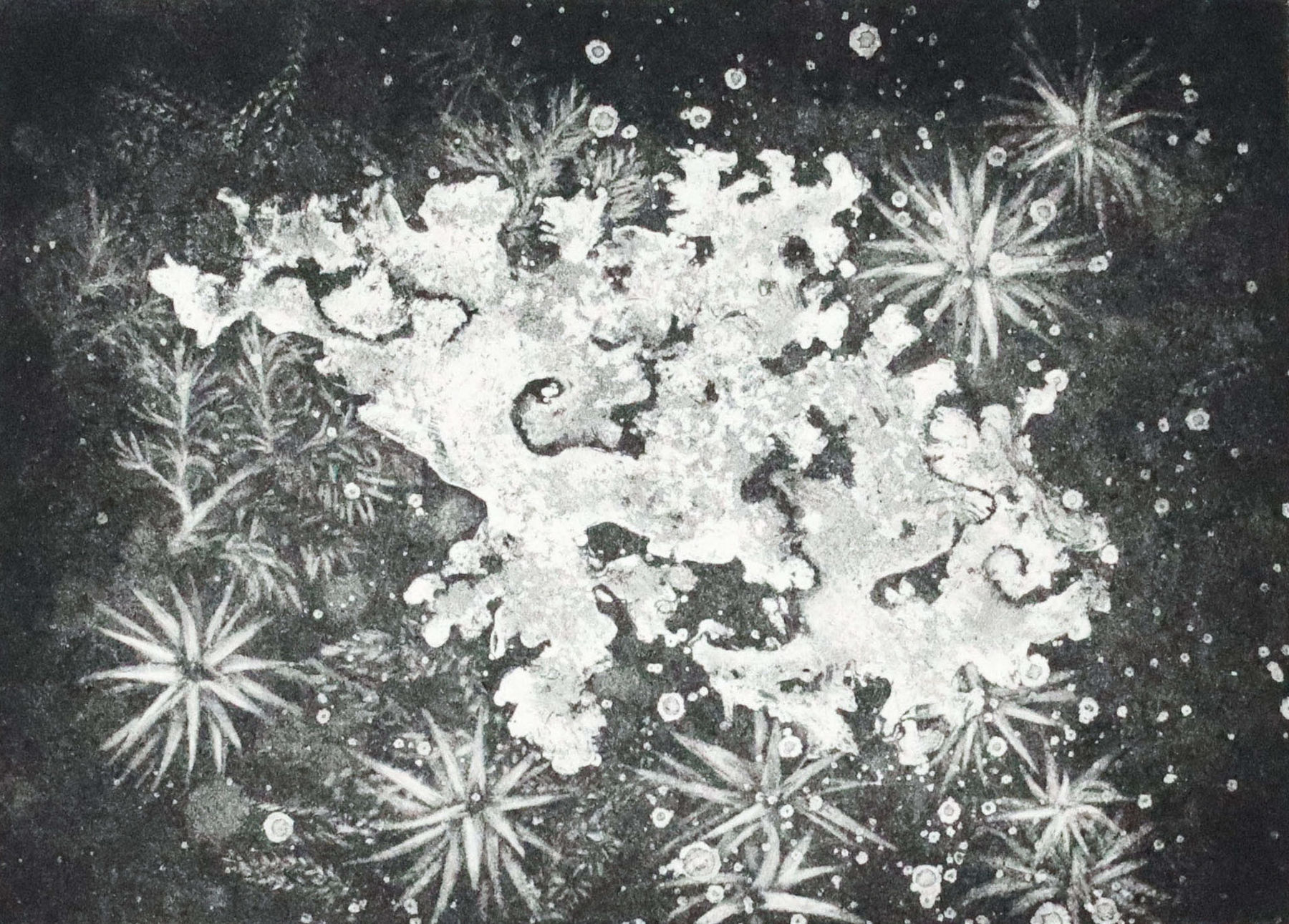 Fiona Fouhy, Effervescent, 2024