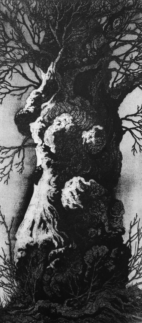 Summer Secret Bid Auction 2022, LOT 49: Blaze Cyan - Petworth Chestnut, 2013