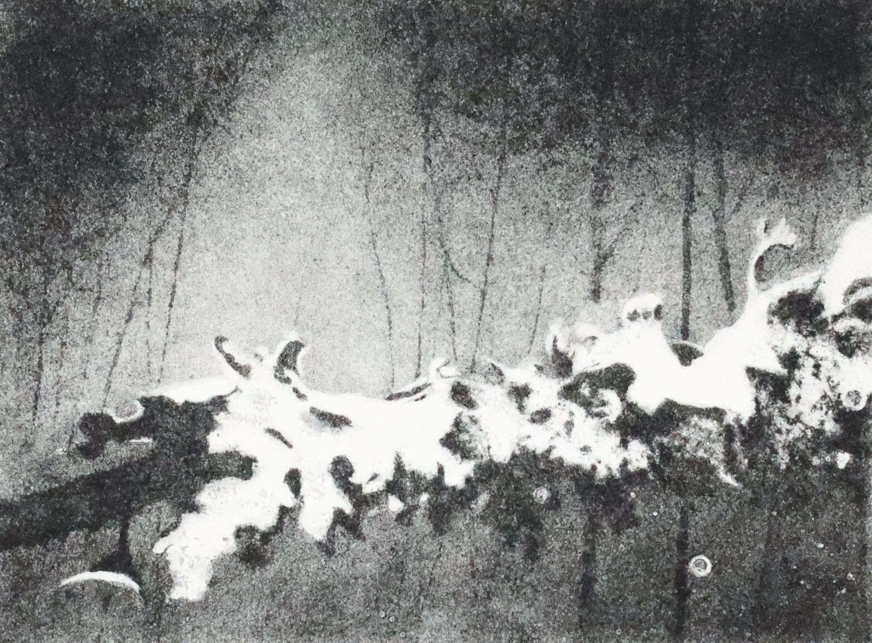 Fiona Fouhy, Gift, 2024