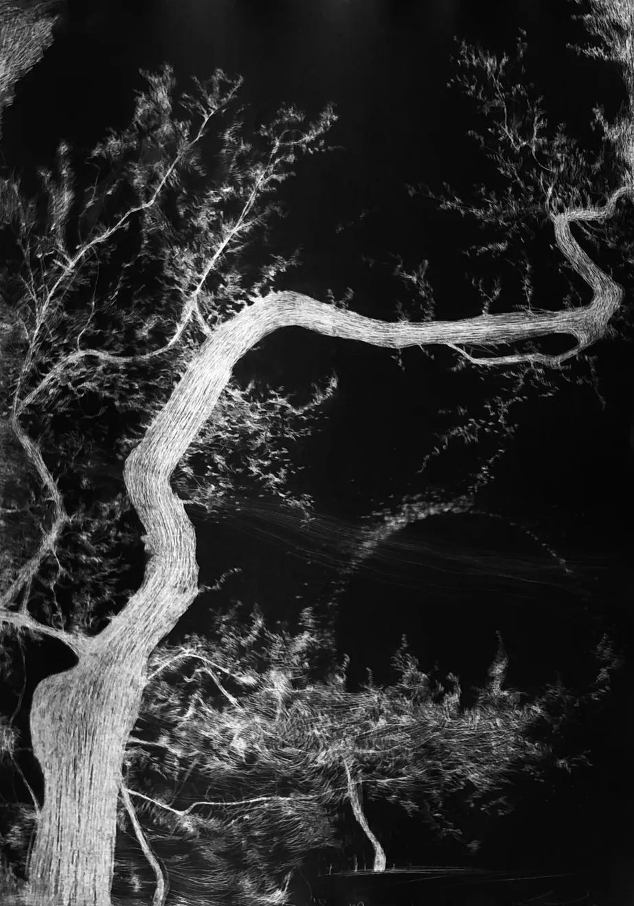 Christmas Auction 2021, LOT 174: Edward Twohig - Super Moon 3.V, 2020