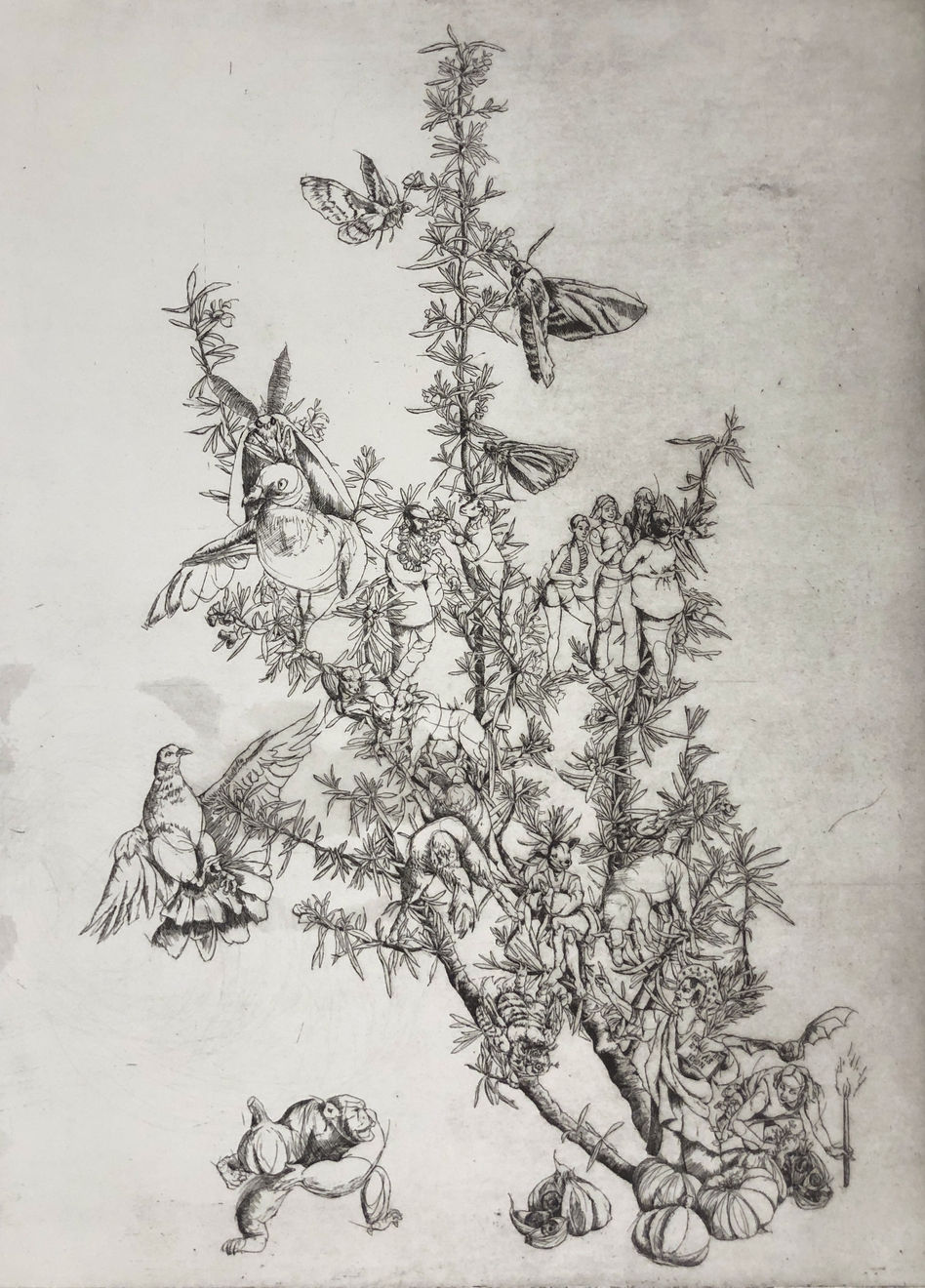 Maite Cascón, Rosemary Branches, 2022