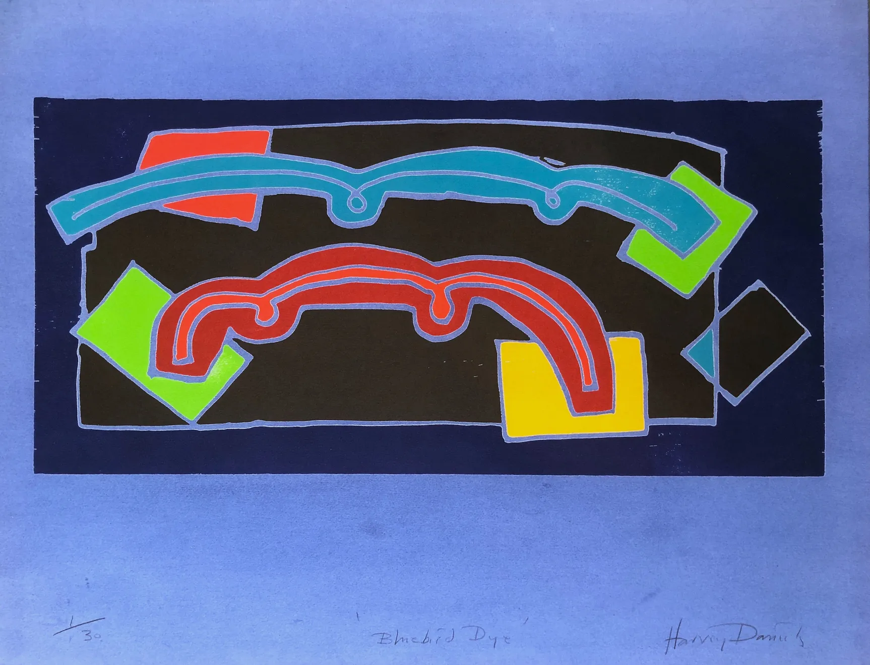 Summer Secret Bid Auction 2022, LOT 59: Harvey Daniels - Bluebird Dye