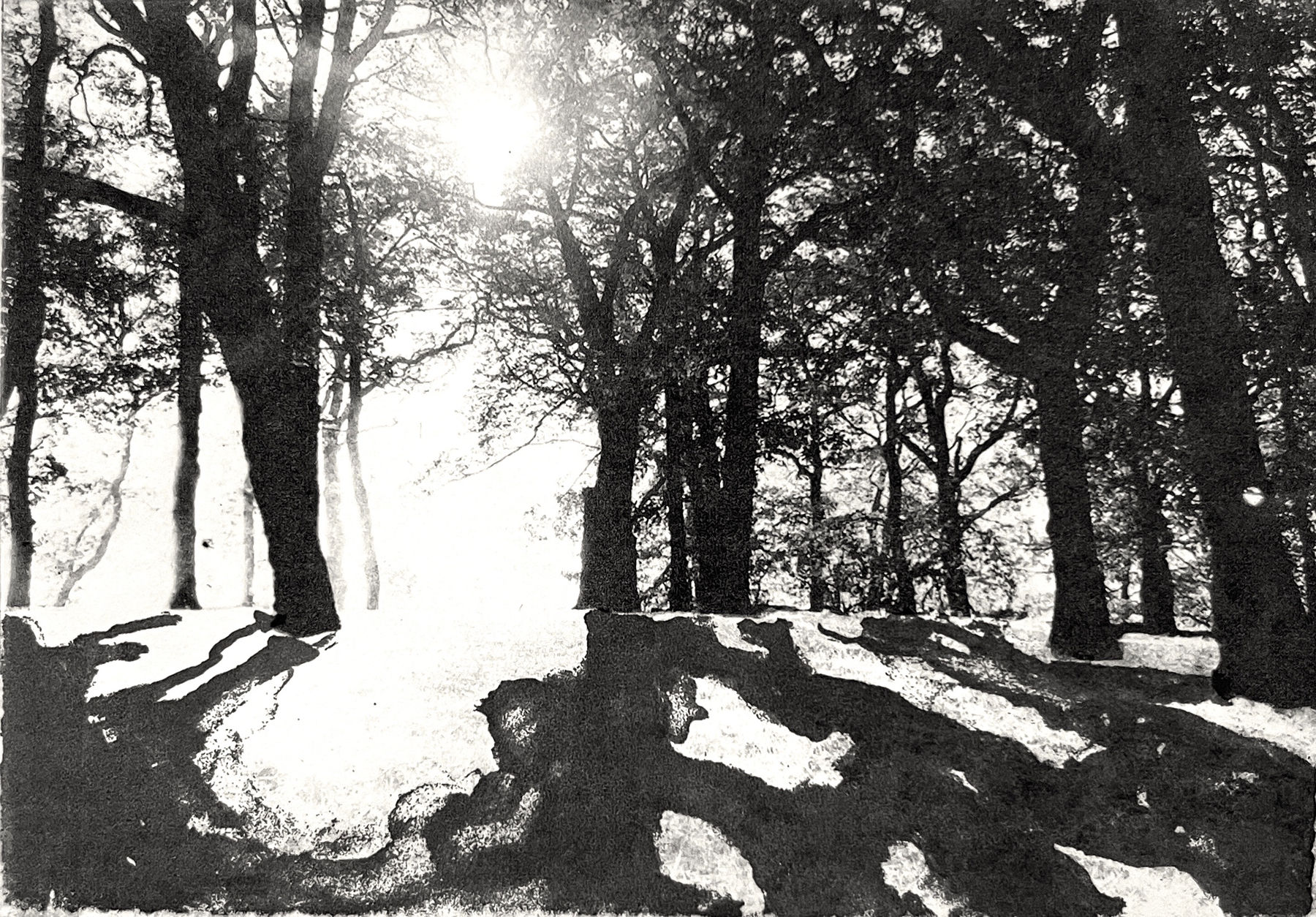 Lucy Bainbridge, Patience VIII, 2022