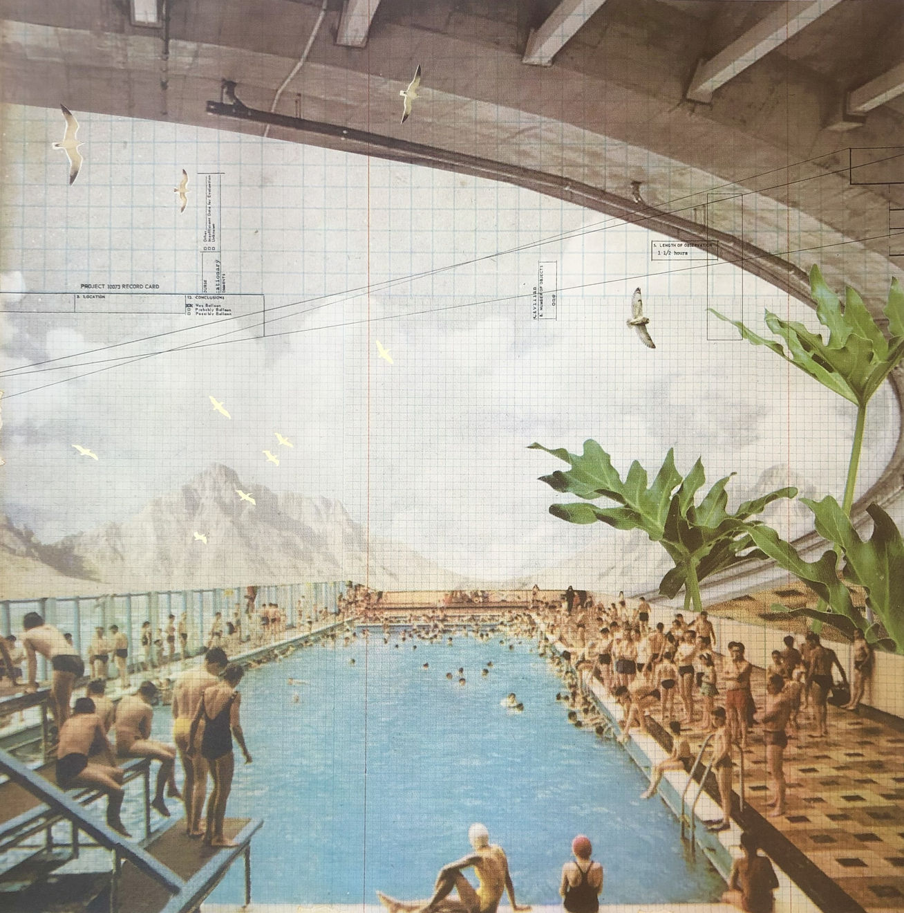 Maxine Gregson, Underneath the Canopy, 2025