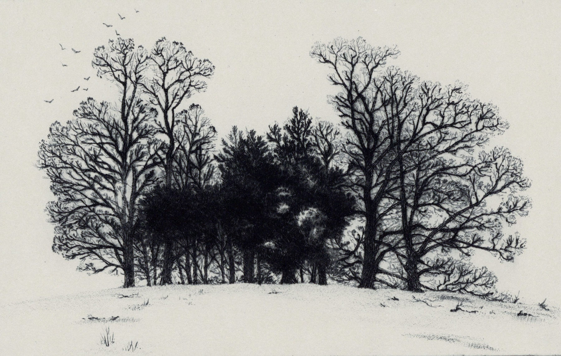 Blaze Cyan, Sundridge, 2023