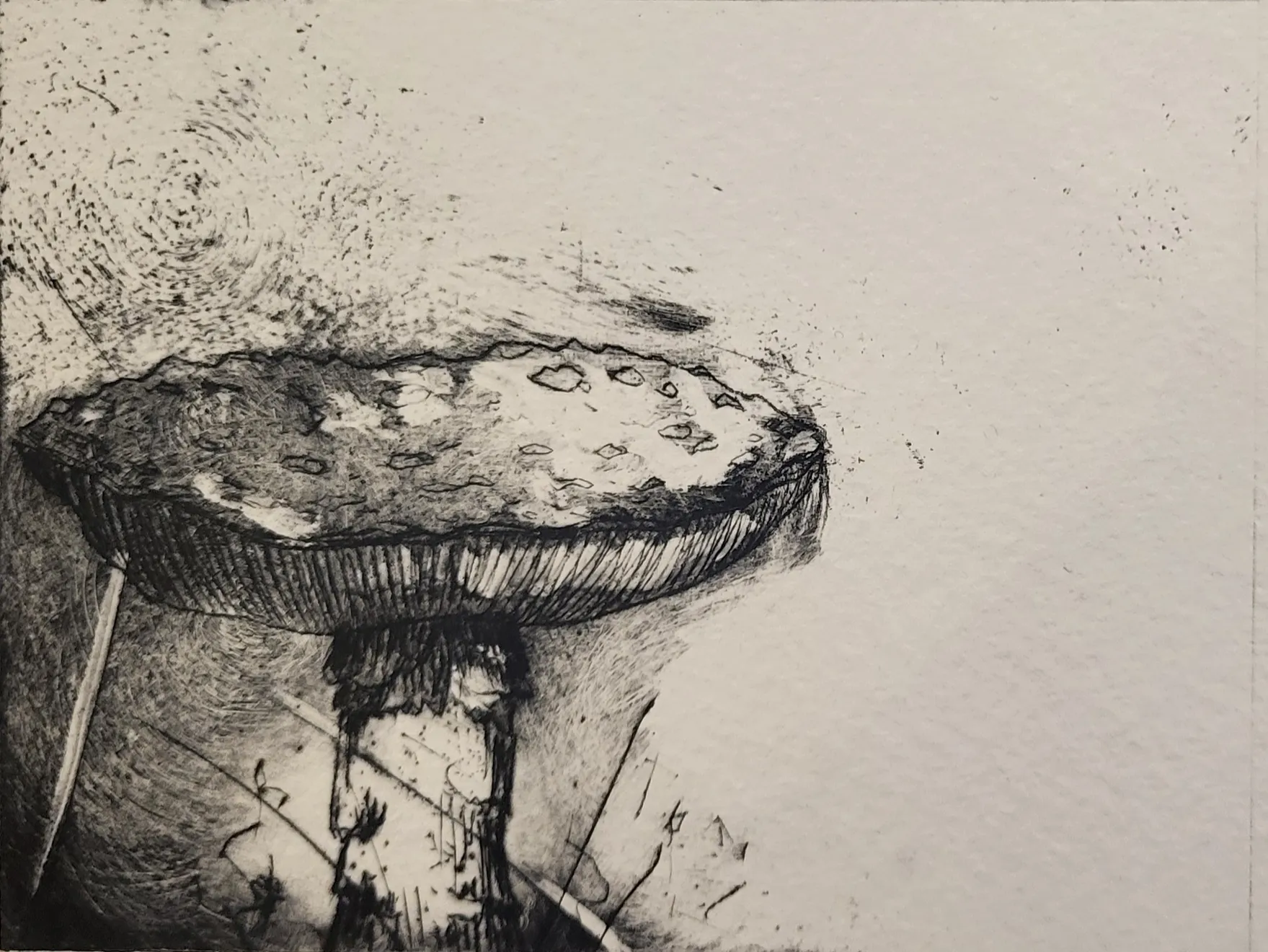 Summer Secret Bid Auction 2023, LOT 70: Fiona Fouhy - Fungi Life III AP, 2018