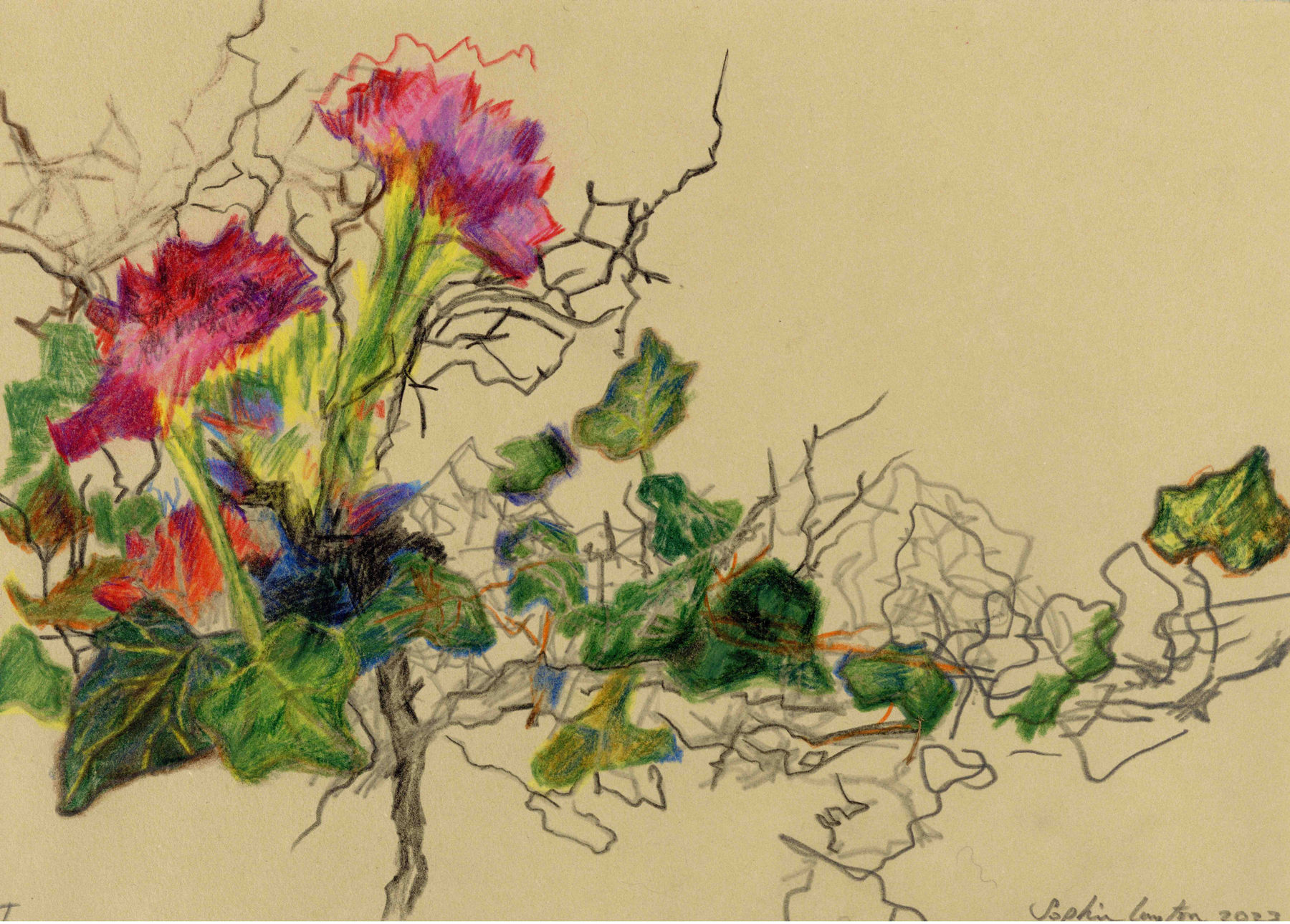 Sophie Layton, I, 2023