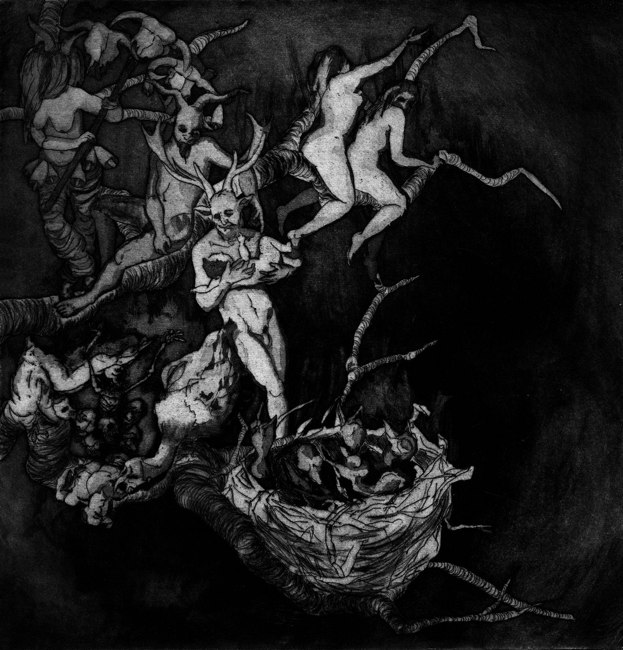 Maite Cascón, The Shadow Tree X, 2017