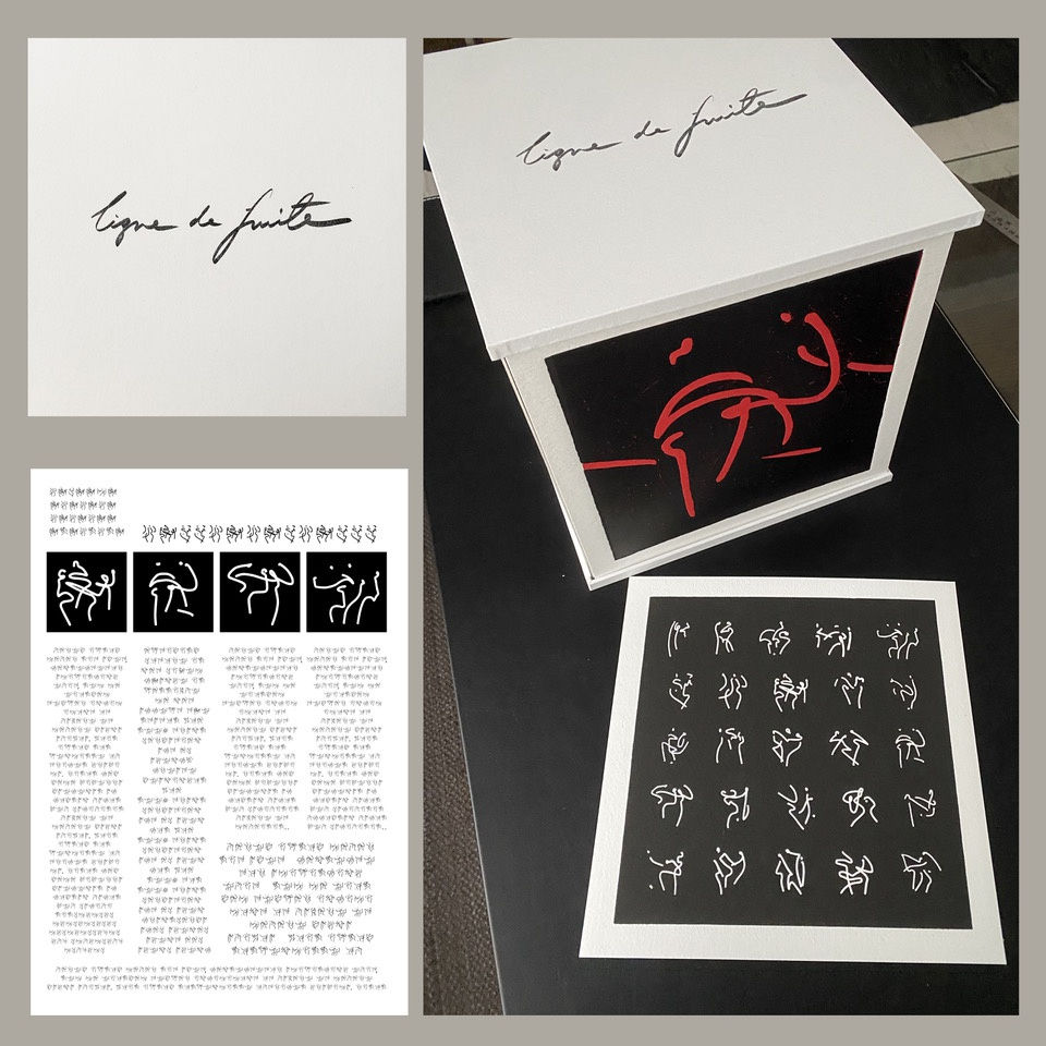 Veta Gorner, Ligne du Fuite , 2025