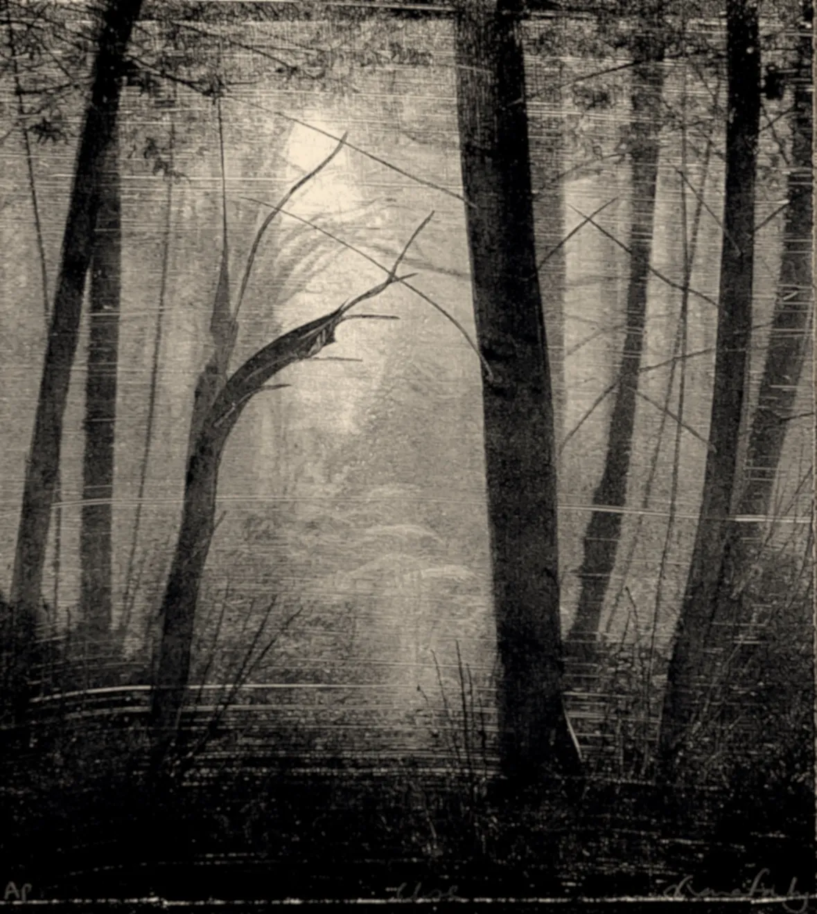 Summer Secret Bid Auction 2023, LOT 68: Fiona Fouhy - Close, 2022