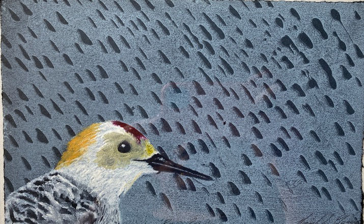 Christmas Secret Bid Auction , LOT 32: Niamh Clancy - Rain Rain, 2022