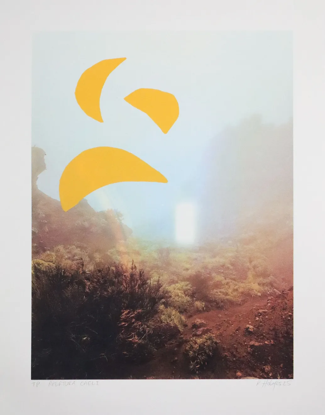 Rebecca Holmes, Apertura Caeli, 2025