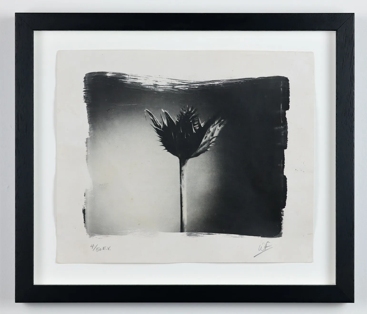 Christmas Secret Bid Auction 2025, LOT 87: Wayne Foskett - Sea Holly