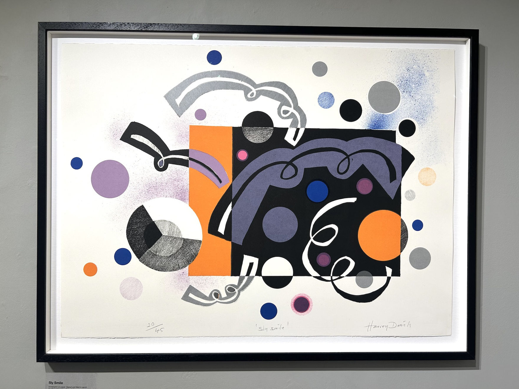 Harvey Daniels, Sly Smile