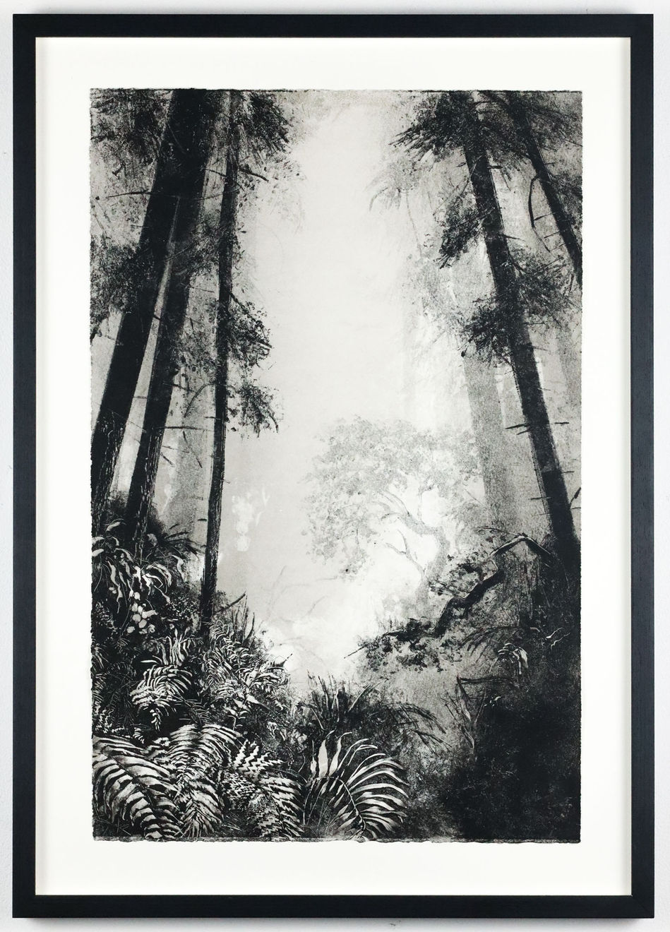 Fiona Fouhy, Embedded, 2024