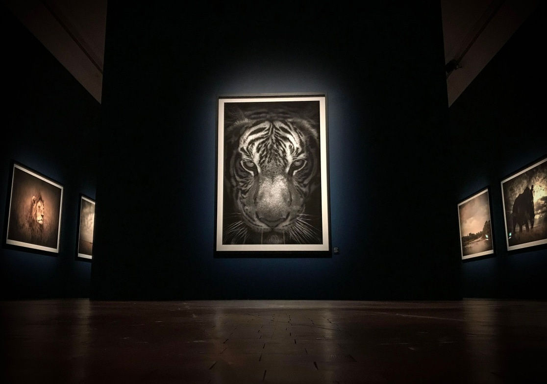 Naturhistoriska Riksmuseet, Stockholm, 2020