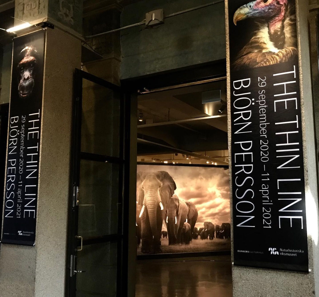 Naturhistoriska Riksmuseet, Stockholm, 2020