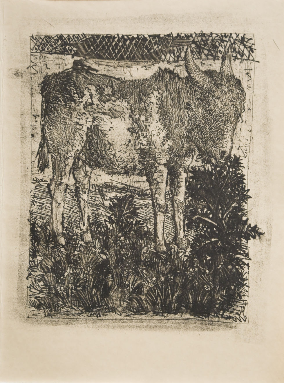 PABLO PICASSO, L'Ane (The Donkey) (Bloch 329), 1936 (February 9, Paris)