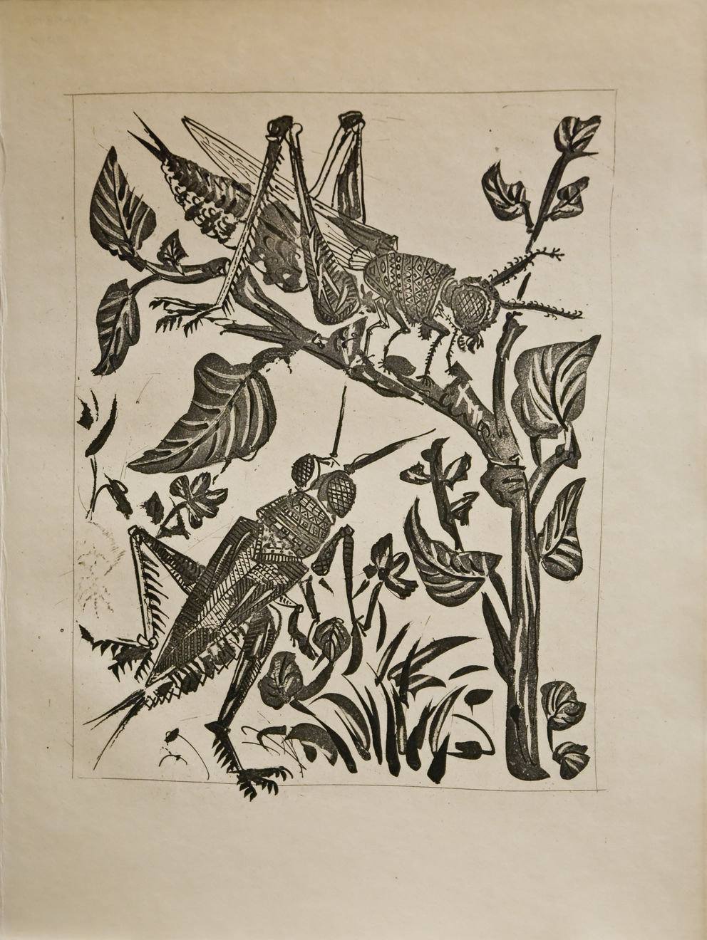 PABLO PICASSO, Le Sauterelle (The Grasshopper) (Bloch 358), 1936 (Paris)