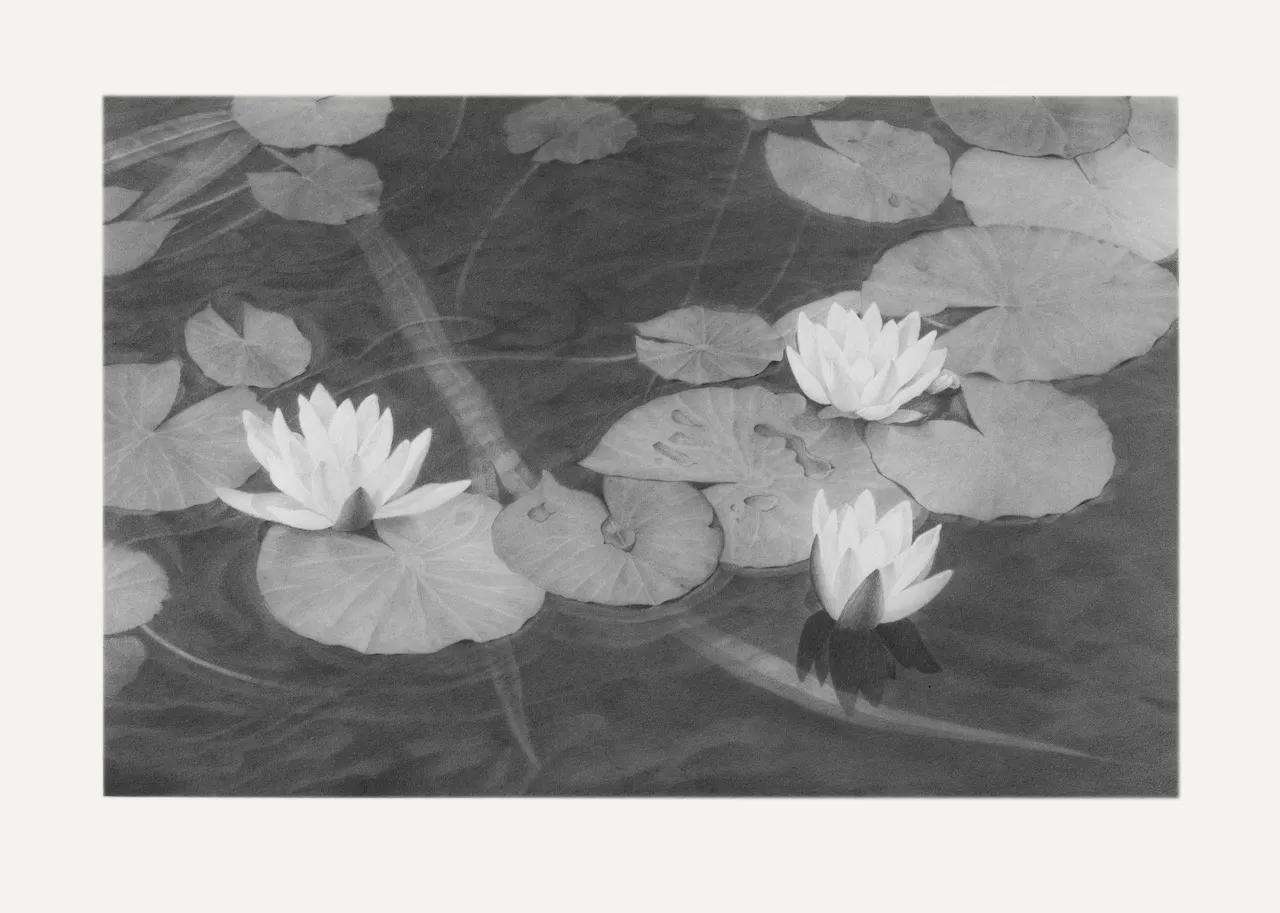 Li Trieb, Seerosen III, 12.1.2013-12:05 – 19.1.2013-17:42 | 2890 Minuten gezeichnete Zeit