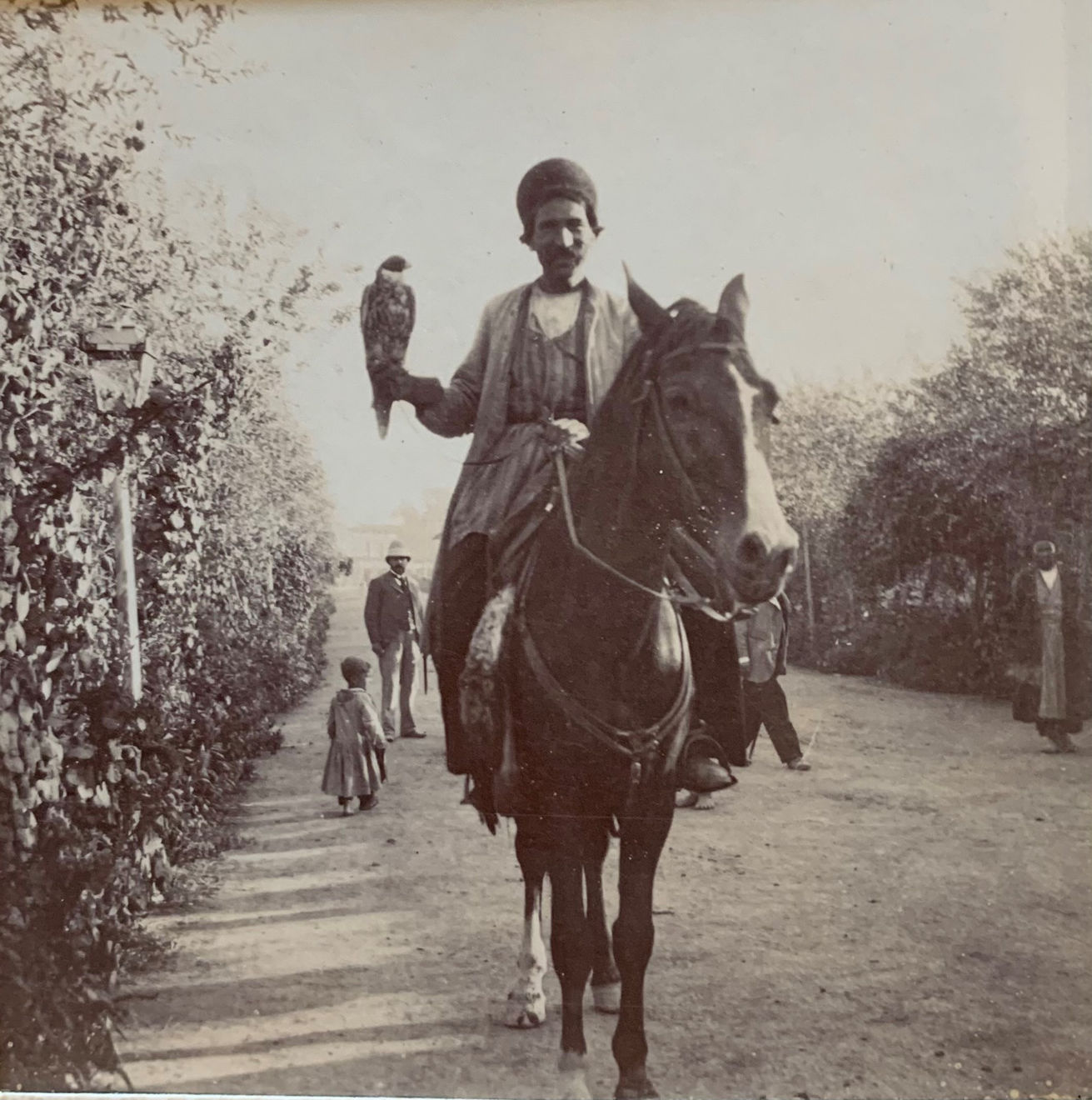 Not known, A Persian falconer on horseback, Late 19th Century, Early 20th Century