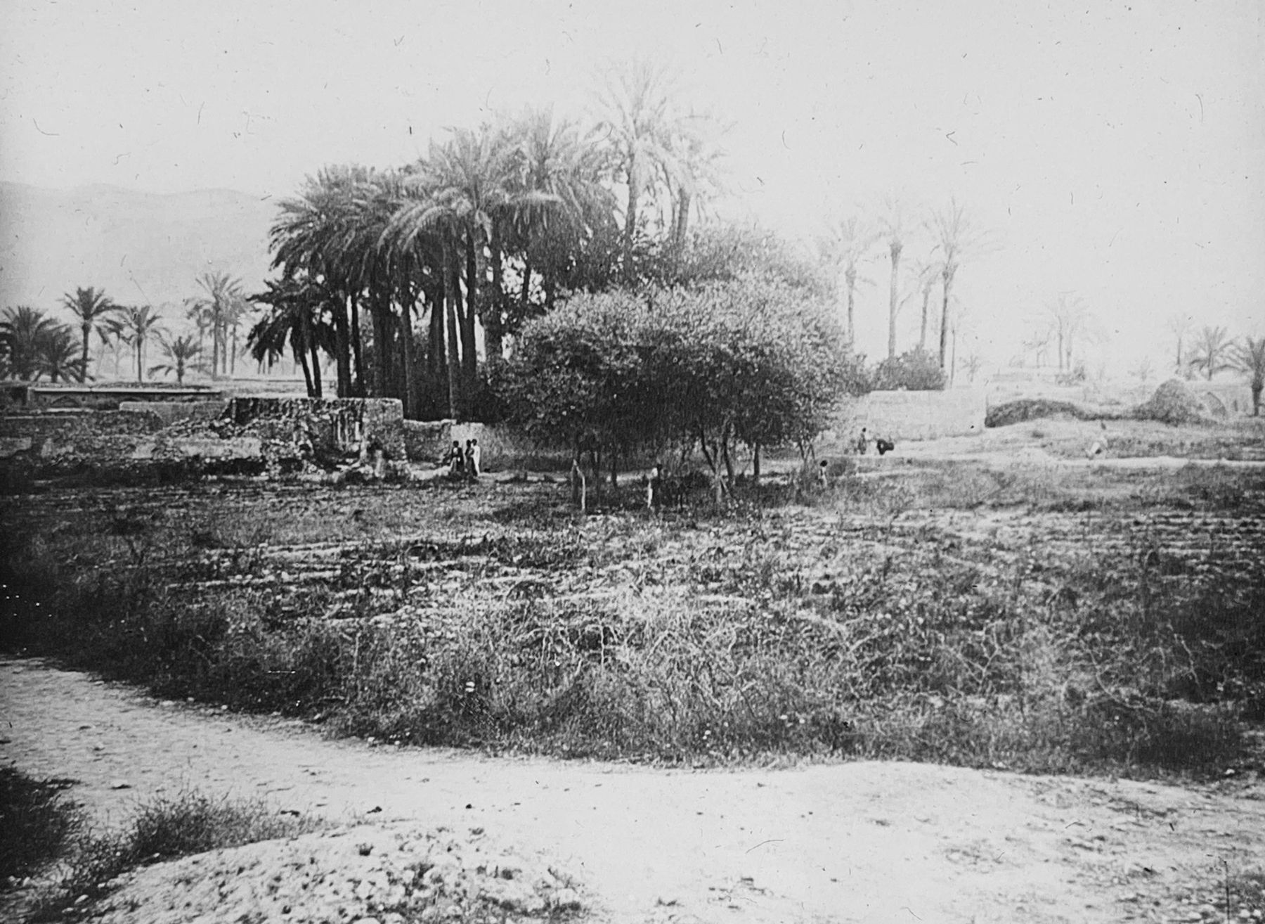 Not known, The village of Dalaki on the Persian Gulf, Late 19th or early 20th Century